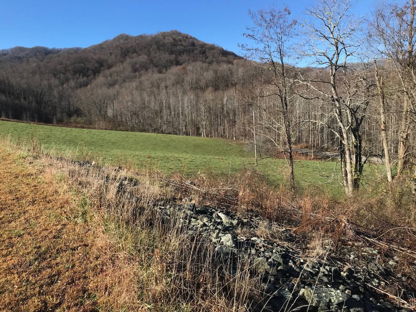 Cleared fence line and pasture with mountain views near Burnsville, NC