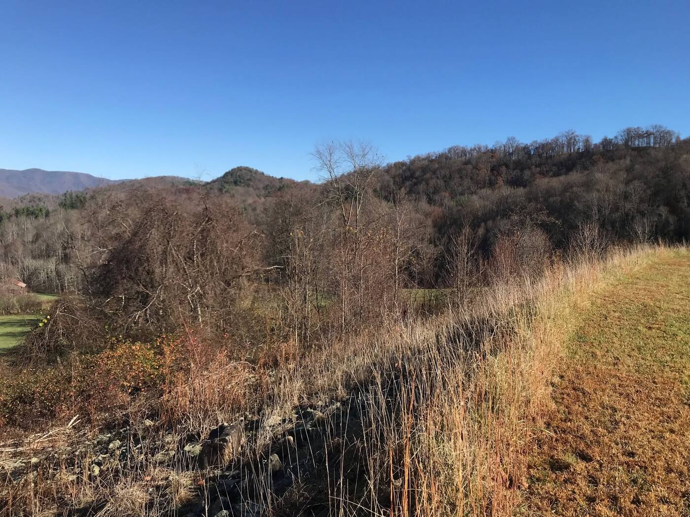 Cleared hillside bank with Black Mountains in the background